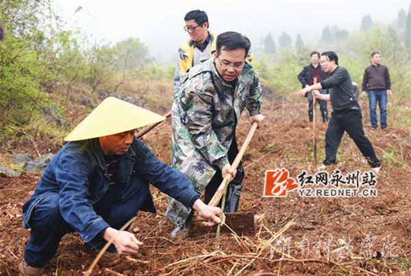 开云官网党委书记陈弘与潮水铺村村支书一同种下金槐树苗